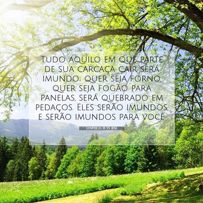 Picture 07 - Levítico 11:35 BSL - Tudo aquilo em que parte de sua carcaça cair - Bible Verse Picture