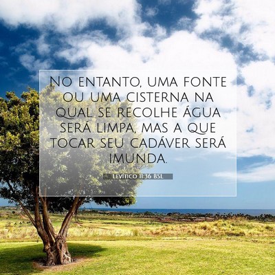 Picture 07 - Levítico 11:36 BSL - No entanto, uma fonte ou uma cisterna na qual se - Bible Verse Picture