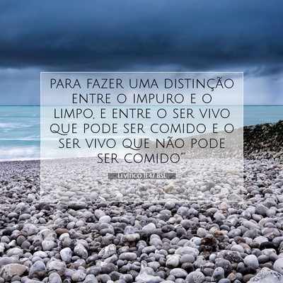 Picture 07 - Levítico 11:47 BSL - para fazer uma distinção entre o impuro e o - Bible Verse Picture