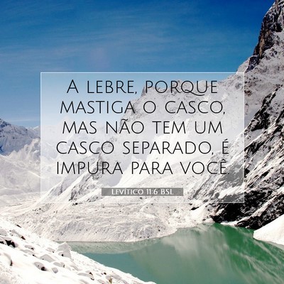 Picture 07 - Levítico 11:6 BSL - A lebre, porque mastiga o casco, mas não tem um - Bible Verse Picture