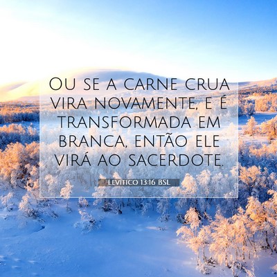 Picture 07 - Levítico 13:16 BSL - Ou se a carne crua vira novamente, e é - Bible Verse Picture