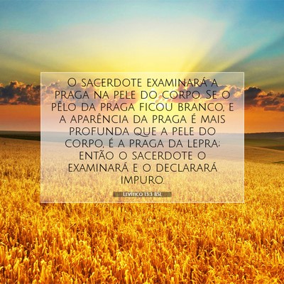 Picture 07 - Levítico 13:3 BSL - O sacerdote examinará a praga na pele do corpo. - Bible Verse Picture