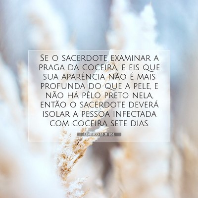 Picture 07 - Levítico 13:31 BSL - Se o sacerdote examinar a praga da coceira, e eis - Bible Verse Picture
