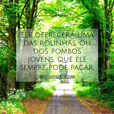 Picture 07 - Levítico 14:30 BSL - Ele oferecerá uma das rolinhas, ou dos pombos - Bible Verse Picture