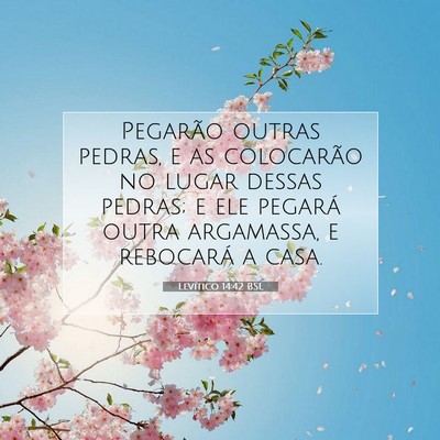 Picture 07 - Levítico 14:42 BSL - Pegarão outras pedras, e as colocarão no lugar - Bible Verse Picture