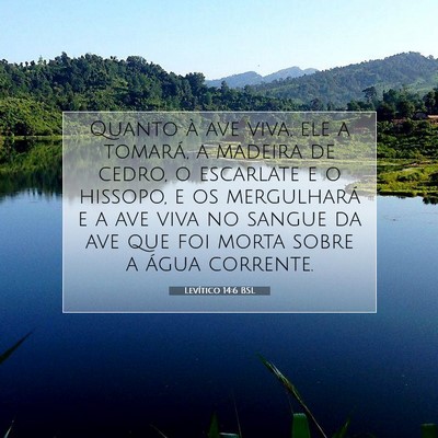 Picture 07 - Levítico 14:6 BSL - Quanto à ave viva, ele a tomará, a madeira de - Bible Verse Picture