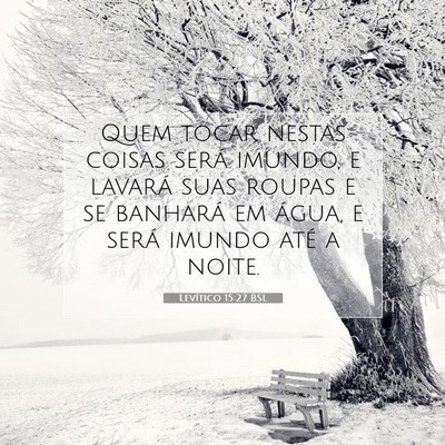 Picture 07 - Levítico 15:27 BSL - Quem tocar nestas coisas será imundo, e lavará - Bible Verse Picture