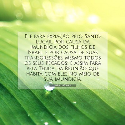 Picture 07 - Levítico 16:16 BSL - Ele fará expiação pelo Santo Lugar, por causa - Bible Verse Picture
