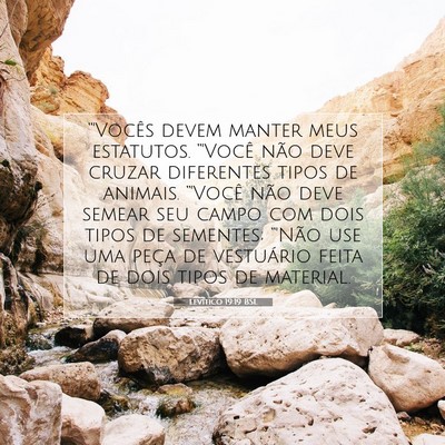 Picture 07 - Levítico 19:19 BSL - “'Vocês devem manter meus estatutos. “'Você - Bible Verse Picture