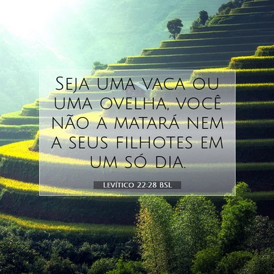 Picture 07 - Levítico 22:28 BSL - Seja uma vaca ou uma ovelha, você não a matará - Bible Verse Picture