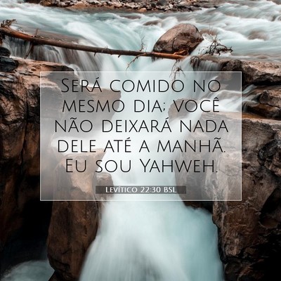 Picture 07 - Levítico 22:30 BSL - Será comido no mesmo dia; você não deixará - Bible Verse Picture