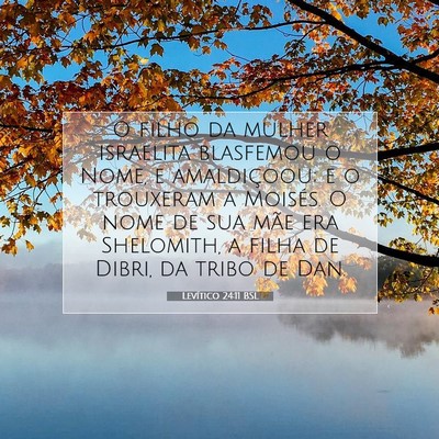 Picture 07 - Levítico 24:11 BSL - O filho da mulher israelita blasfemou o Nome, e - Bible Verse Picture