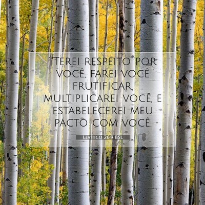 Picture 07 - Levítico 26:9 BSL - “'Terei respeito por você, farei você - Bible Verse Picture