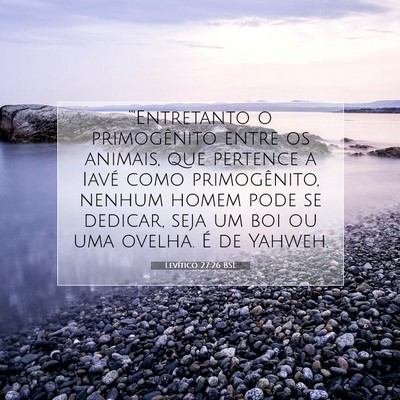 Picture 07 - Levítico 27:26 BSL - “'Entretanto o primogênito entre os animais, - Bible Verse Picture