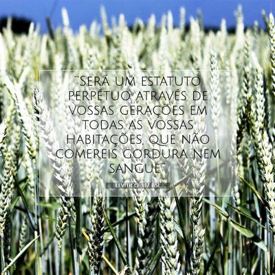 Picture 07 - Levítico 3:17 BSL - “'Será um estatuto perpétuo através de - Bible Verse Picture