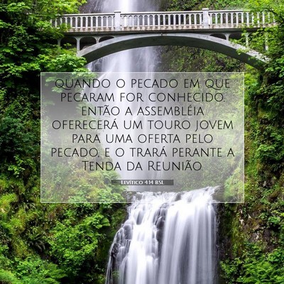 Picture 07 - Levítico 4:14 BSL - quando o pecado em que pecaram for conhecido, - Bible Verse Picture