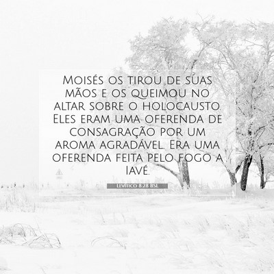 Picture 07 - Levítico 8:28 BSL - Moisés os tirou de suas mãos e os queimou no - Bible Verse Picture