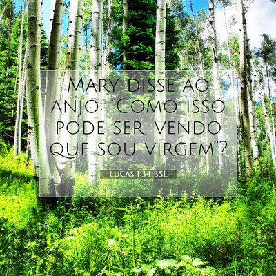 Picture 07 - Lucas 1:34 BSL - Mary disse ao anjo: “Como isso pode ser, vendo - Bible Verse Picture