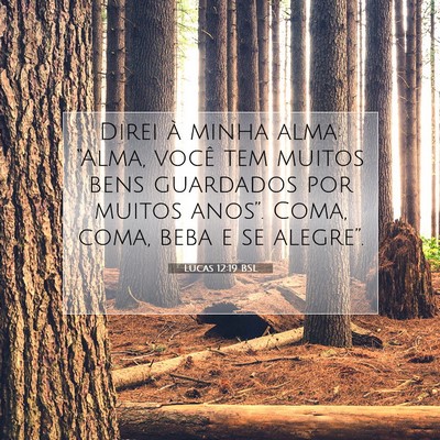 Picture 07 - Lucas 12:19 BSL - Direi à minha alma: “Alma, você tem muitos - Bible Verse Picture