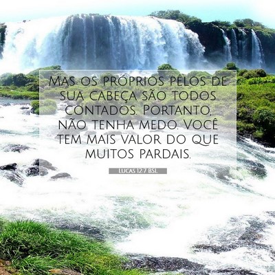 Picture 07 - Lucas 12:7 BSL - Mas os próprios pêlos de sua cabeça são todos - Bible Verse Picture