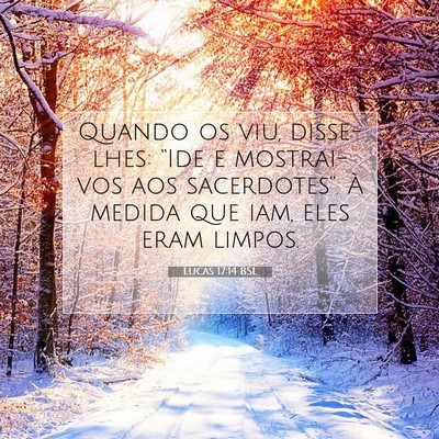 Picture 07 - Lucas 17:14 BSL - Quando os viu, disse-lhes: “Ide e mostrai-vos - Bible Verse Picture