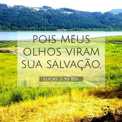 Picture 07 - Lucas 2:30 BSL - pois meus olhos viram sua - Bible Verse Picture