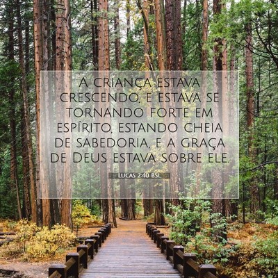 Picture 07 - Lucas 2:40 BSL - A criança estava crescendo, e estava se tornando - Bible Verse Picture
