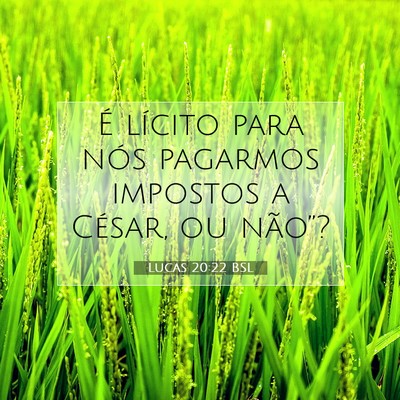 Picture 07 - Lucas 20:22 BSL - É lícito para nós pagarmos impostos a César, - Bible Verse Picture