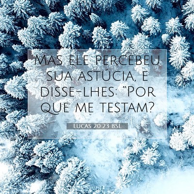 Picture 07 - Lucas 20:23 BSL - Mas ele percebeu sua astúcia, e disse-lhes: - Bible Verse Picture