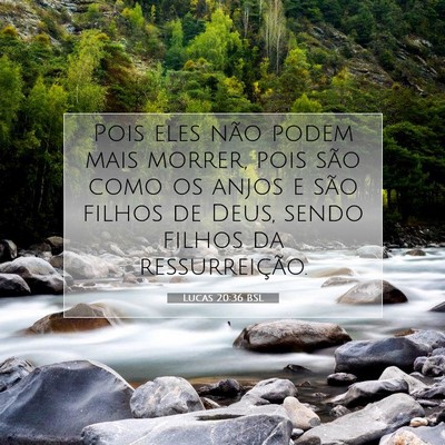 Picture 07 - Lucas 20:36 BSL - Pois eles não podem mais morrer, pois são como - Bible Verse Picture