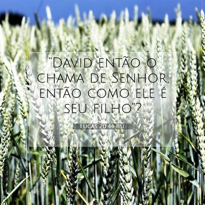 Picture 07 - Lucas 20:44 BSL - “David então o chama de Senhor, então como - Bible Verse Picture