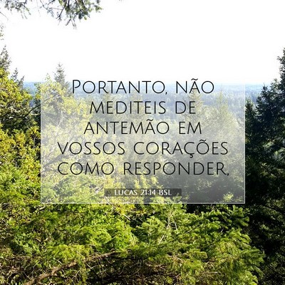Picture 07 - Lucas 21:14 BSL - Portanto, não mediteis de antemão em vossos - Bible Verse Picture