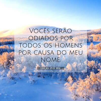 Picture 07 - Lucas 21:17 BSL - Vocês serão odiados por todos os homens por - Bible Verse Picture