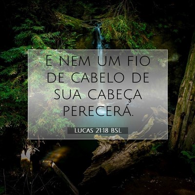 Picture 07 - Lucas 21:18 BSL - E nem um fio de cabelo de sua cabeça - Bible Verse Picture