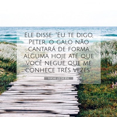 Picture 07 - Lucas 22:34 BSL - Ele disse: “Eu te digo, Peter, o galo não - Bible Verse Picture