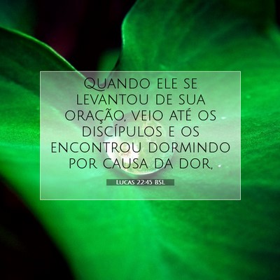 Picture 07 - Lucas 22:45 BSL - Quando ele se levantou de sua oração, veio até - Bible Verse Picture