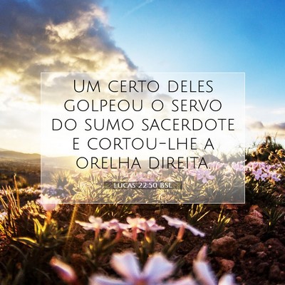 Picture 07 - Lucas 22:50 BSL - Um certo deles golpeou o servo do sumo sacerdote - Bible Verse Picture