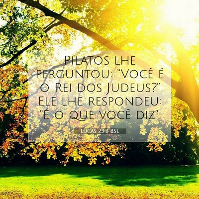 Picture 07 - Lucas 23:3 BSL - Pilatos lhe perguntou: “Você é o Rei dos - Bible Verse Picture