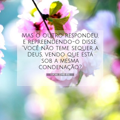 Picture 07 - Lucas 23:40 BSL - Mas o outro respondeu, e repreendendo-o disse: - Bible Verse Picture