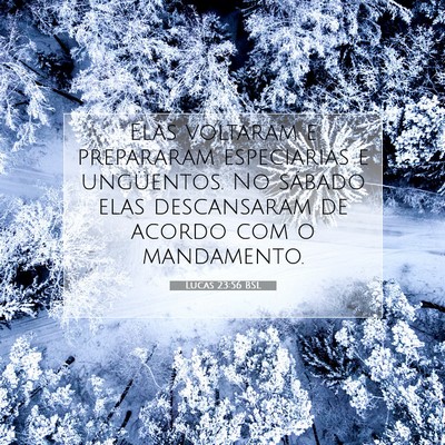 Picture 07 - Lucas 23:56 BSL - Elas voltaram e prepararam especiarias e - Bible Verse Picture