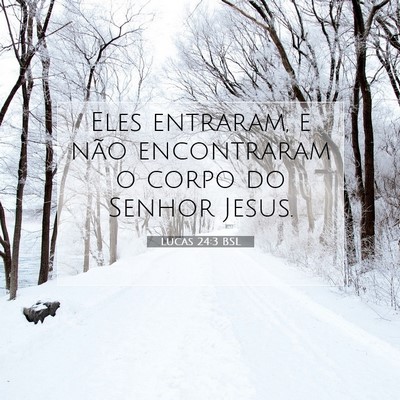Picture 07 - Lucas 24:3 BSL - Eles entraram, e não encontraram o corpo do - Bible Verse Picture