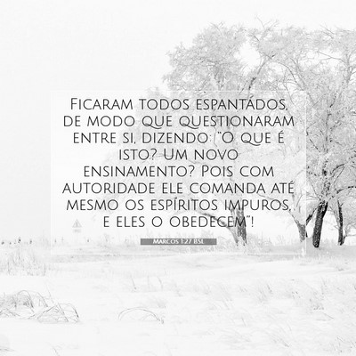 Picture 07 - Marcos 1:27 BSL - Ficaram todos espantados, de modo que - Bible Verse Picture
