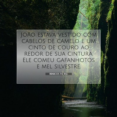 Picture 07 - Marcos 1:6 BSL - João estava vestido com cabelos de camelo e um - Bible Verse Picture