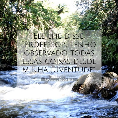 Picture 07 - Marcos 10:20 BSL - Ele lhe disse: “Professor, tenho observado - Bible Verse Picture