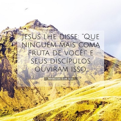 Picture 07 - Marcos 11:14 BSL - Jesus lhe disse: “Que ninguém mais coma fruta - Bible Verse Picture