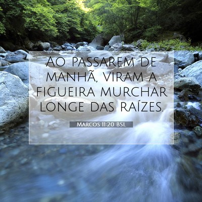 Picture 07 - Marcos 11:20 BSL - Ao passarem de manhã, viram a figueira murchar - Bible Verse Picture