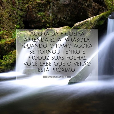 Picture 07 - Marcos 13:28 BSL - “Agora da figueira, aprenda esta parábola. - Bible Verse Picture