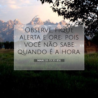 Picture 07 - Marcos 13:33 BSL - Observe, fique alerta e ore; pois você não sabe - Bible Verse Picture