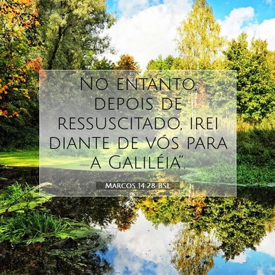 Picture 07 - Marcos 14:28 BSL - No entanto, depois de ressuscitado, irei diante - Bible Verse Picture