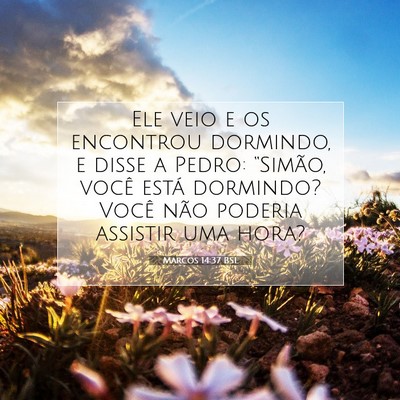 Picture 07 - Marcos 14:37 BSL - Ele veio e os encontrou dormindo, e disse a - Bible Verse Picture